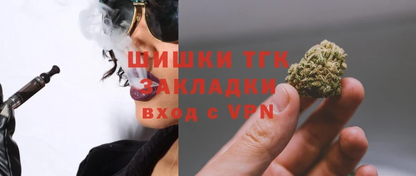 твердый Шадринск